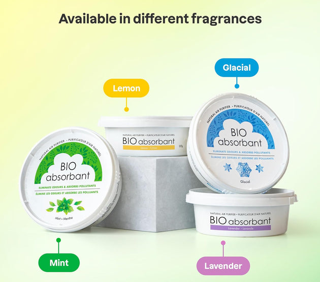ATTITUDE Bio Absorbant Air Purifier with Activated Carbon Freshener